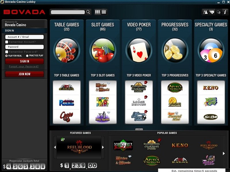 Web based casinos You to 10$ deposit casino definitely Accept Usa Players
